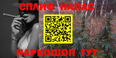 хмурый Можга