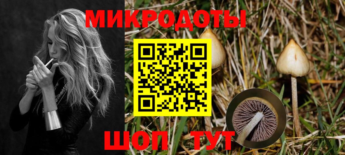 Галлюциногенные грибы Magic Shrooms Шелехов