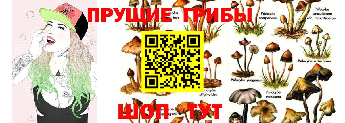 Шелехов  Псилоцибиновые грибы MAGIC MUSHROOMS  Вход с VPN 